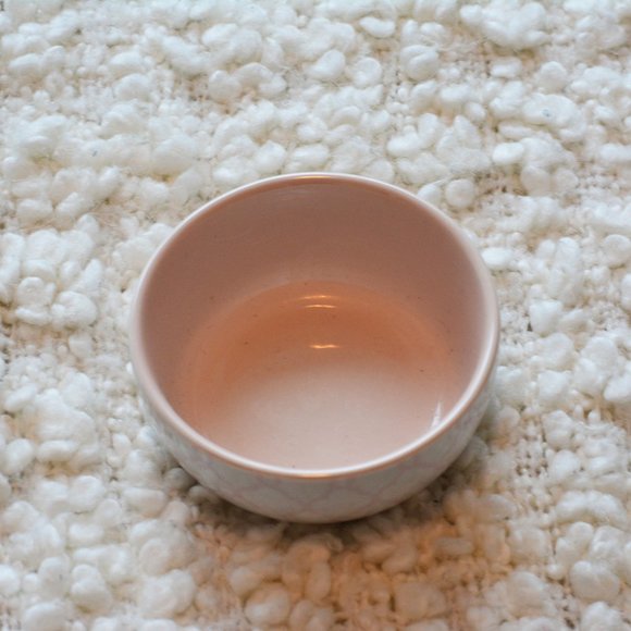 NWOT Small Pink Bowl - Picture 2 of 4